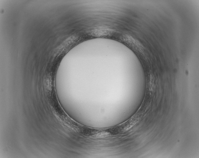X0000062690210200601041110