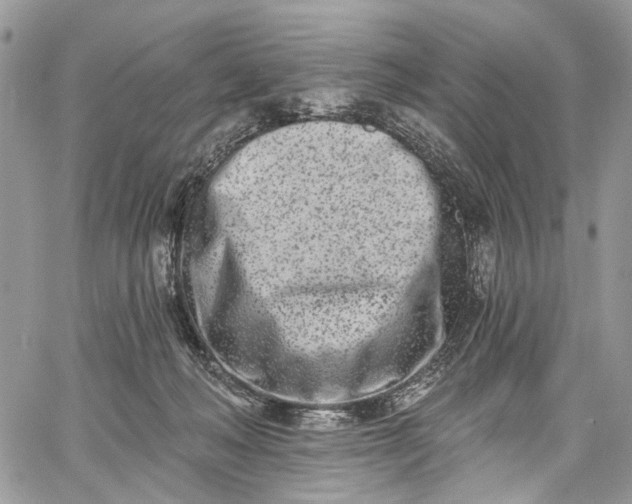 X0000062690222200601041110