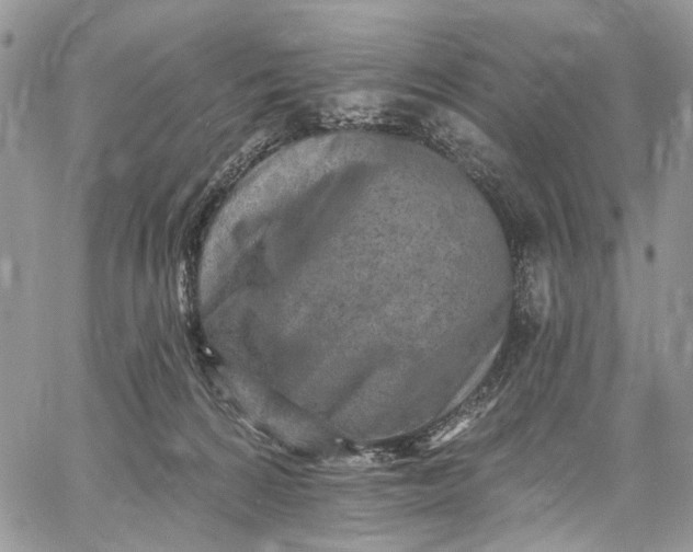 X0000062690224200601041110