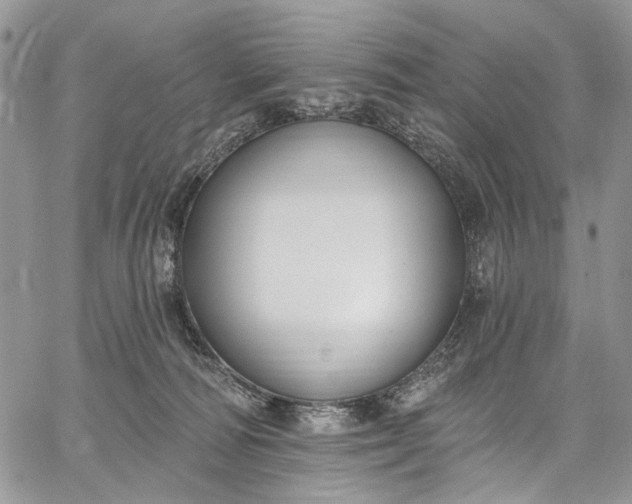 X0000062690226200601041110