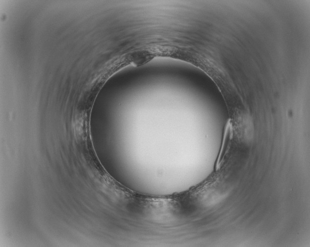 X0000062690233200601041110