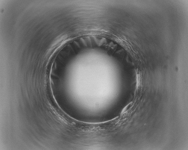 X0000062690243200601041109
