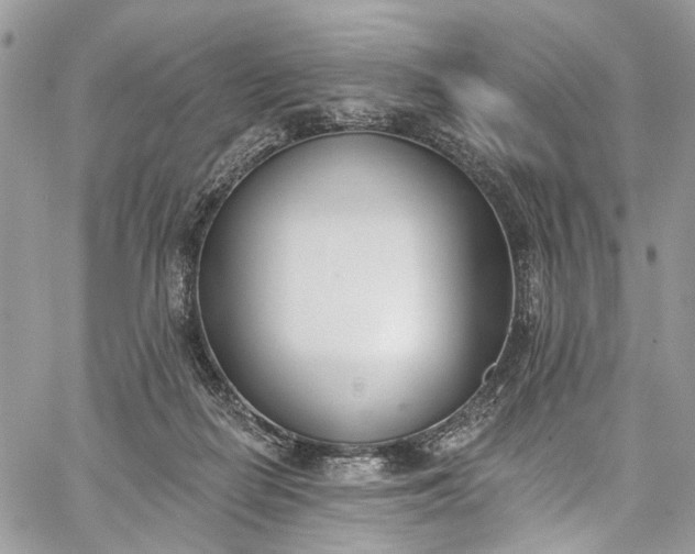 X0000062690266200601041109