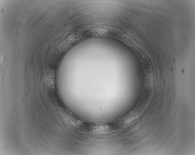 X0000062690274200601041109