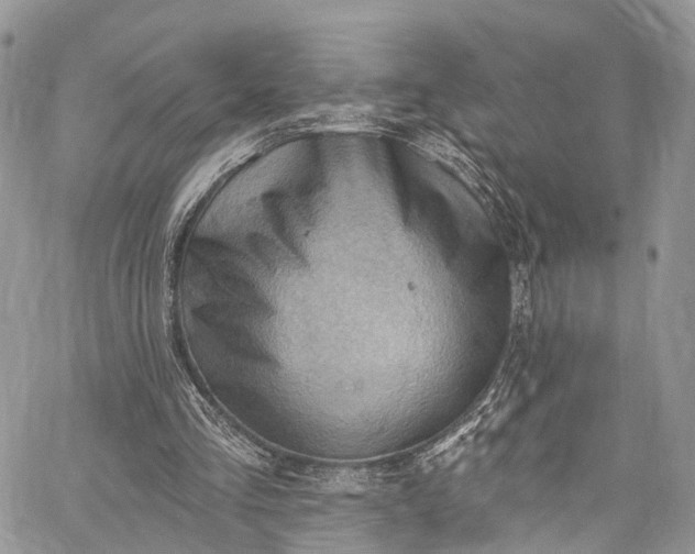 X0000062690293200601041109
