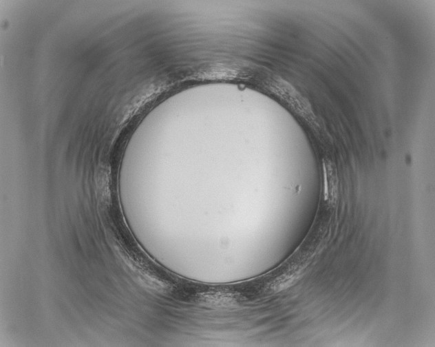 X0000062690300200601041108