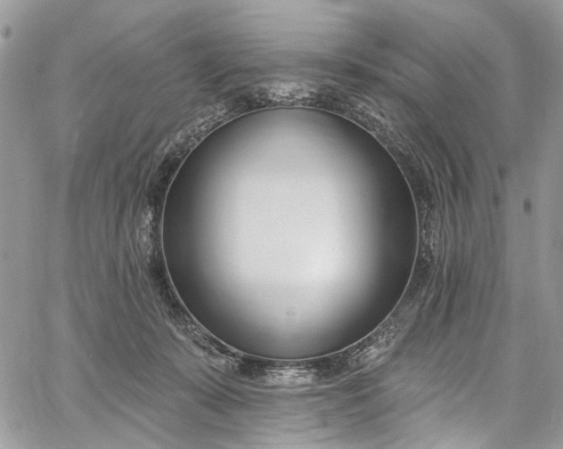 X0000062690319200601041108