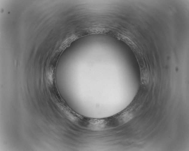 X0000062690334200601041108