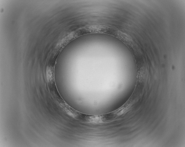 X0000062690335200601041108