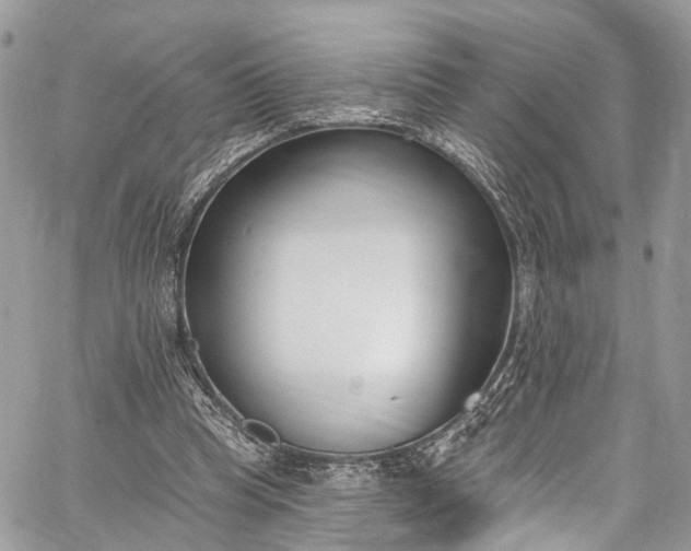 X0000062690345200601041107