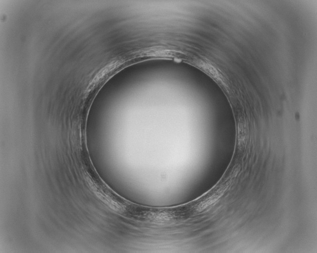 X0000062690349200601041107