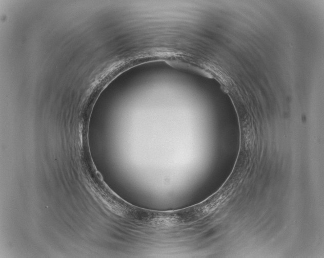 X0000062690350200601041107