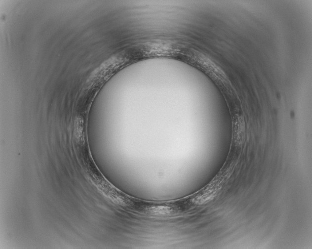 X0000062690361200601041107