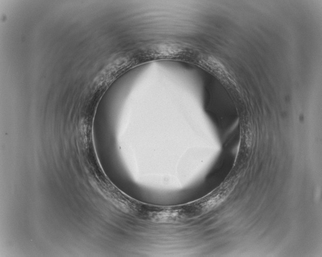 X0000062690366200601041107