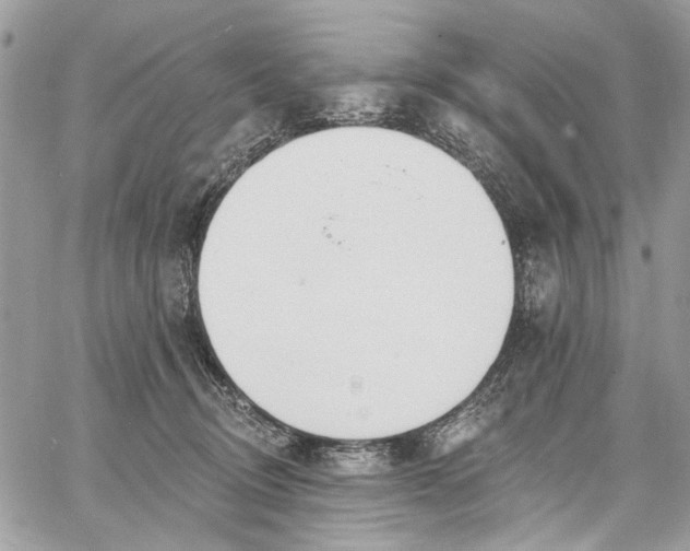X0000062690370200601041108