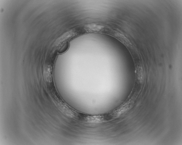 X0000062690378200601041108