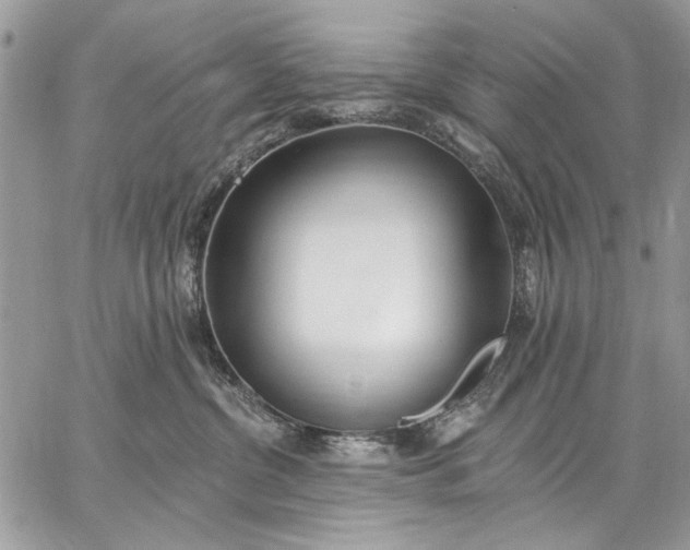 X0000062690380200601041108