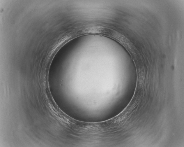 X0000062690386200601041107