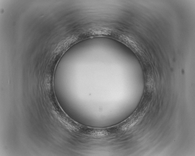 X0000062690402200601041107