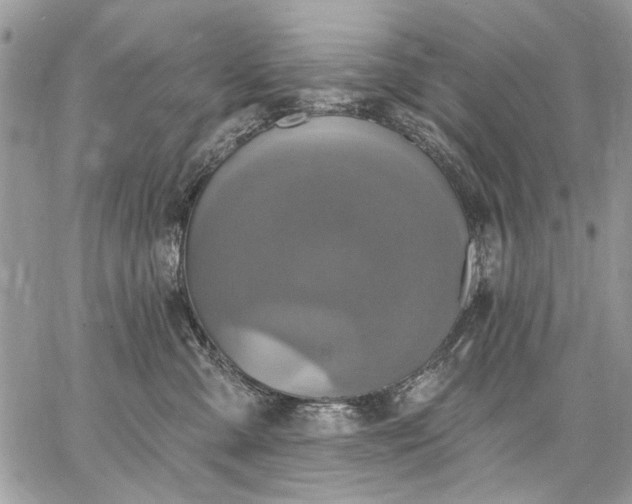 X0000062690427200601041106
