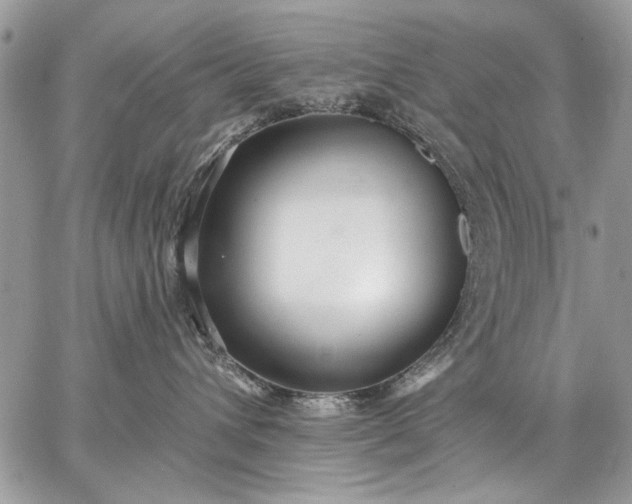 X0000062690432200601041106