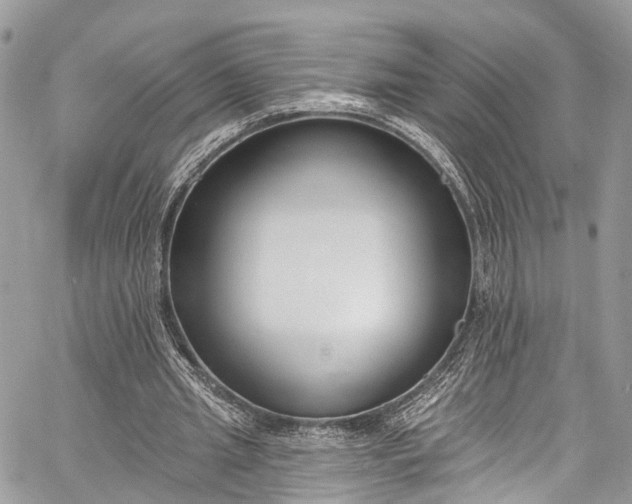 X0000062690437200601041105