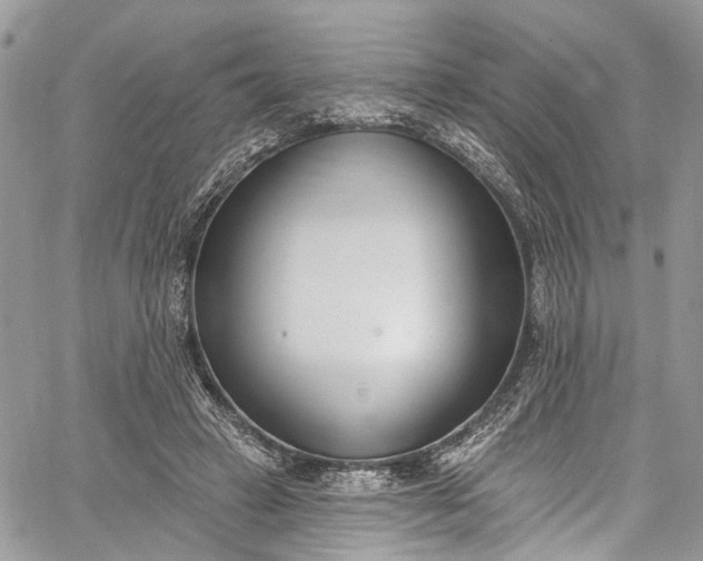 X0000062690449200601041106