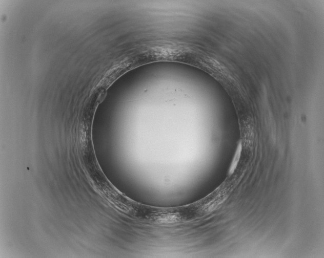 X0000062690456200601041106