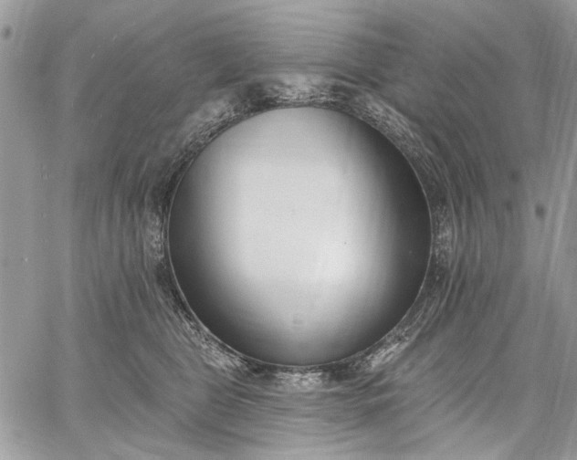 X0000062690469200601041106