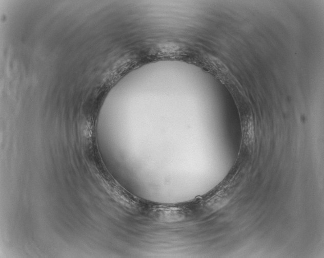 X0000062690472200601041106