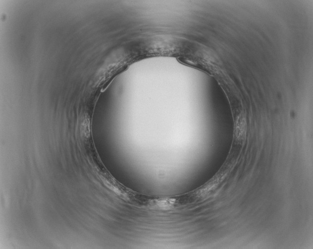 X0000062690474200601041106