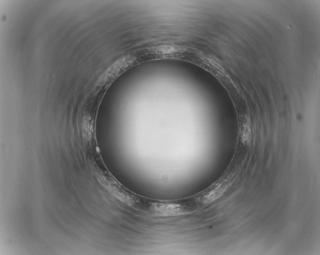 X0000062690476200601041106