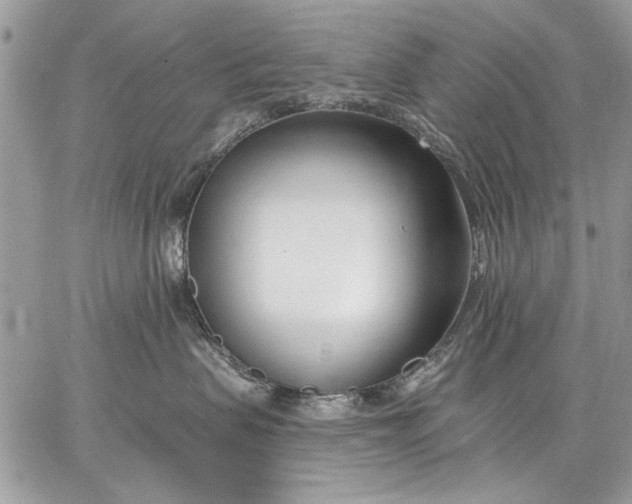 X0000062690479200601041106