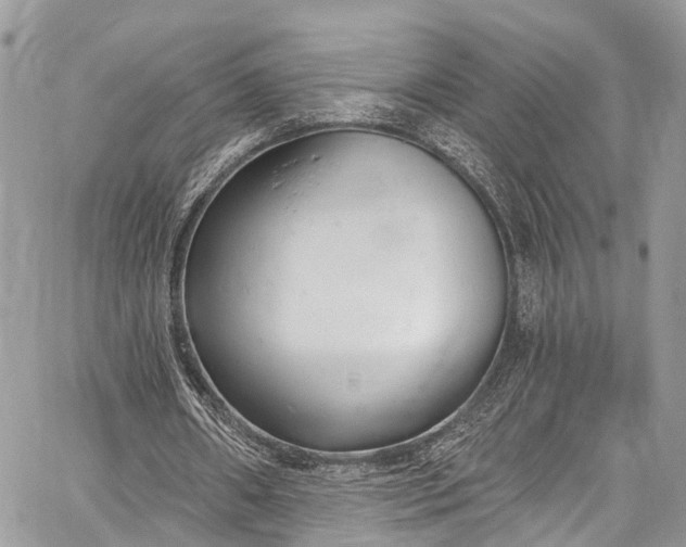 X0000062690482200601041105