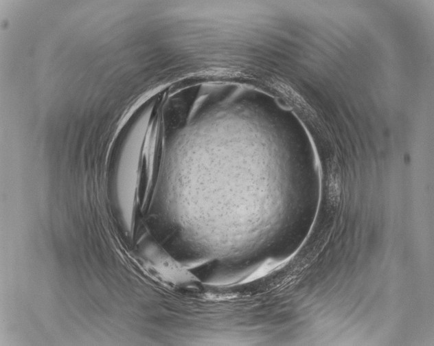 X0000062690484200601041105