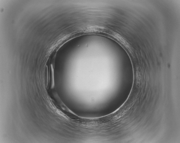 X0000062690485200601041105