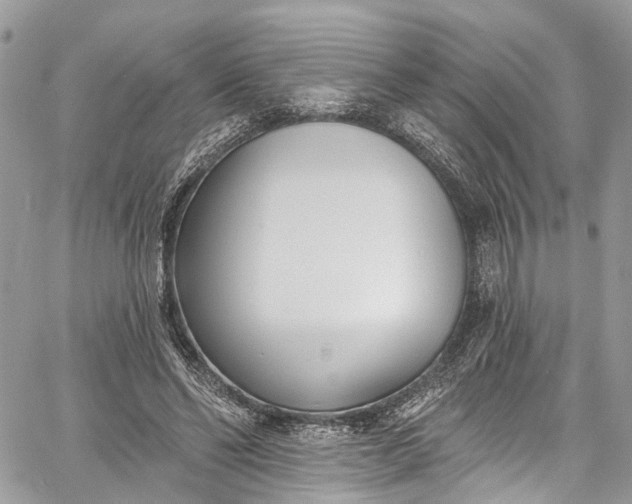 X0000062690494200601041105