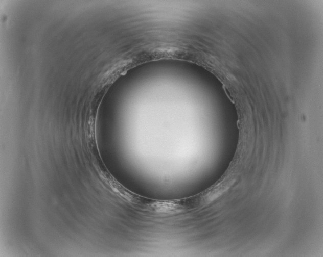 X0000062690528200601041105