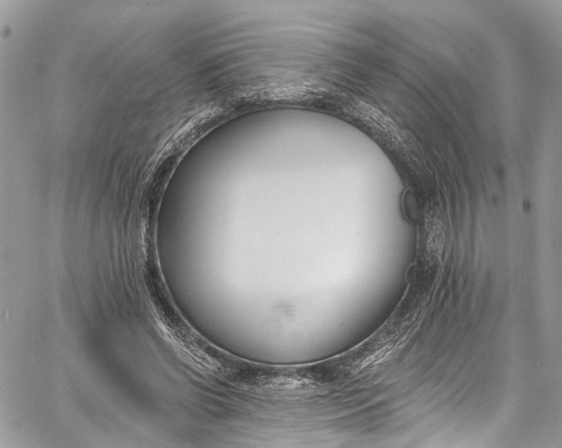 X0000062690542200601041104