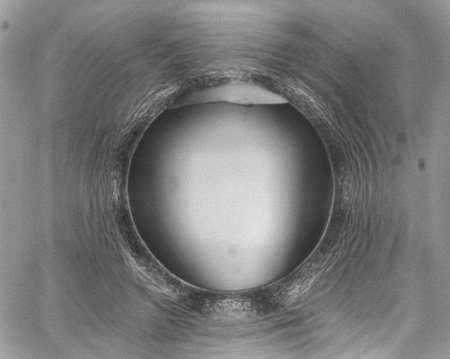 X0000062690546200601041104