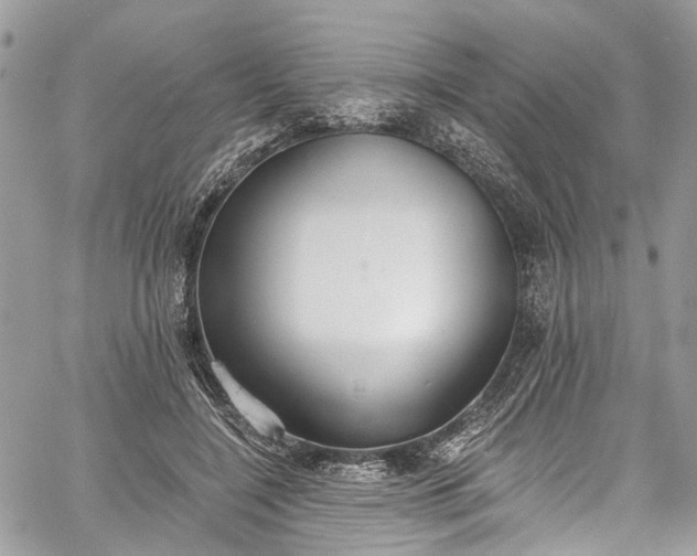 X0000062690548200601041104