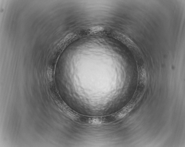 X0000062690565200601041104