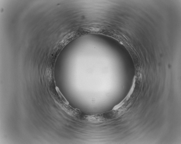 X0000062690568200601041104