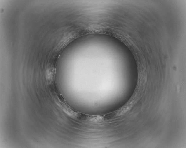 X0000062690576200601041105