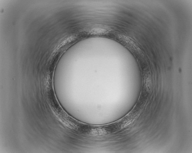 X0000062690591200601041103