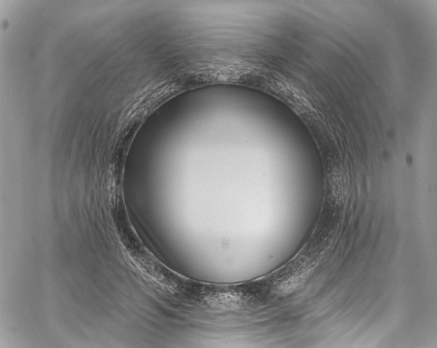 X0000062690594200601041103