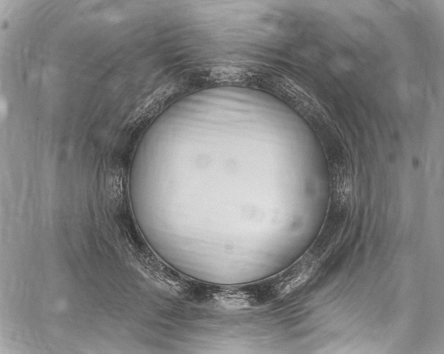 X0000062690603200601041103