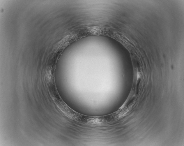 X0000062690611200601041103