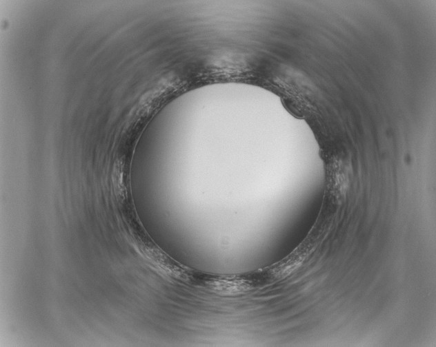 X0000062690615200601041103