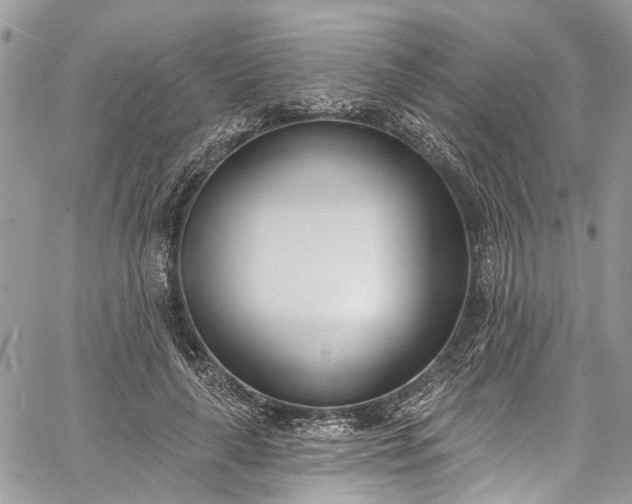 X0000062690643200601041102